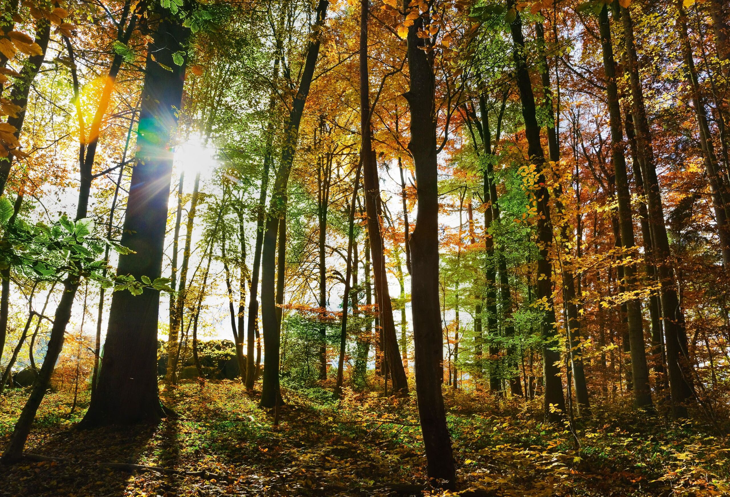 Valnatura-Imagebild